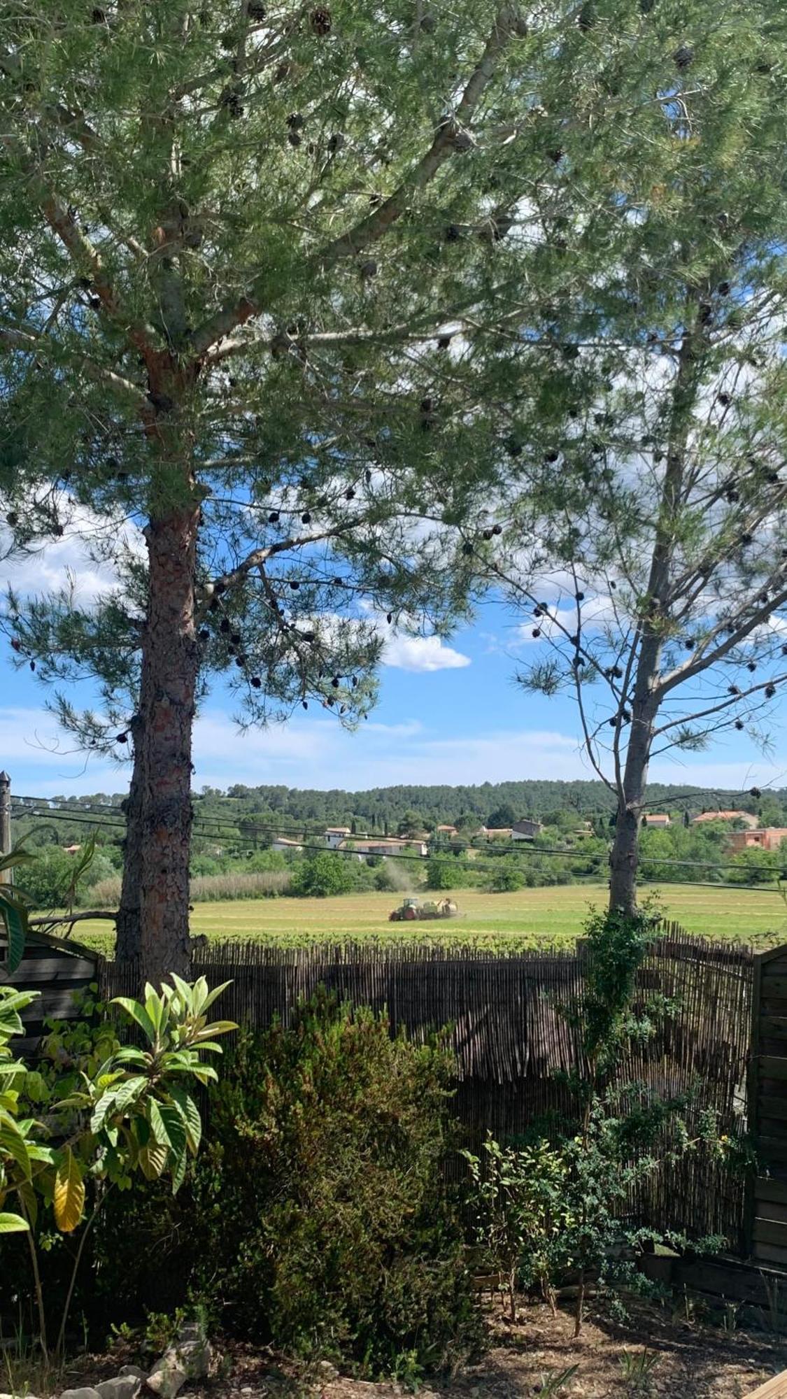 Villa En Bordure De Colline*Piscine*Clim*Netflix Les Matelles Buitenkant foto
